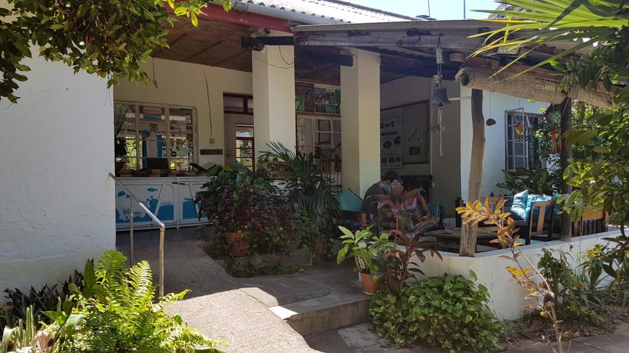 A Rocha Eco-Lodge & Conservation Centre 와타무 외부 사진